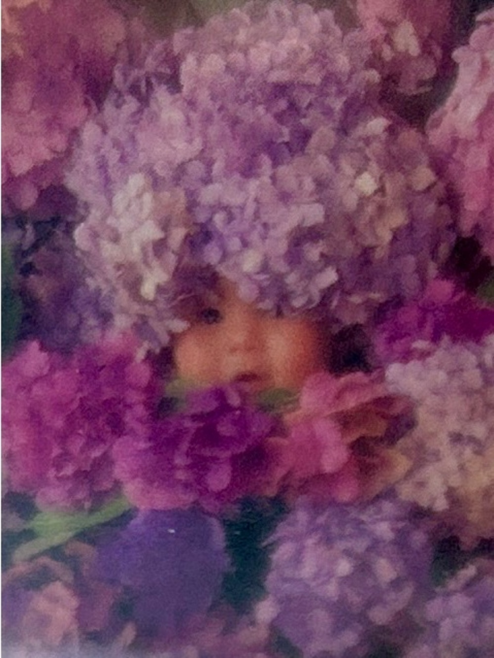 Hallmark Anne Geddes Glass Gallery Photo Frame Purple Lilacs 3” 1998 New In Box - Picture 6 of 11